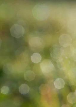 Abstract green light texture Stock Photos