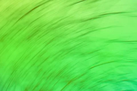 Abstract green light trail vortex. Lights moving in circular green pattern... Stock Photos