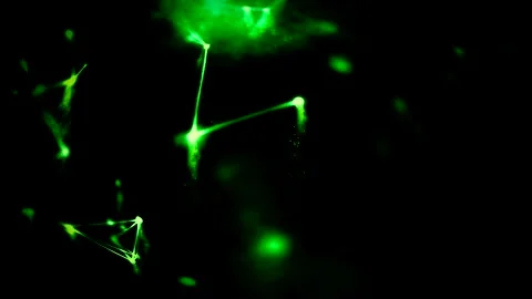 Abstract Green Lights on a Black Background Stock Footage 289114805