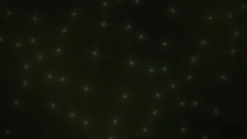Abstract Green Lights Bokeh Background Pattern. Stock Footage 333916646