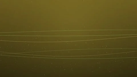 Abstract green lines flow across a dark background, creating a dynamic visual Stock Footage 327941468