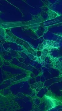 Abstract green liquid glow texture with organic ripples and caustic light p.. Stock Illustration