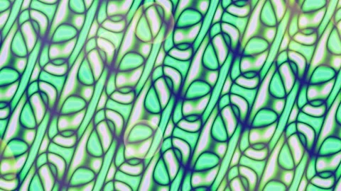 Abstract Green Liquid Psychedelic Line Pattern Background Stock Footage 332787628