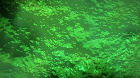 Abstract green liquid swirls create a mesmerizing, flowing motion Stock Footage 325253174