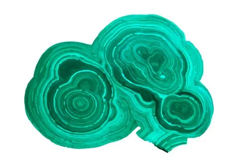 Abstract Green Malachite Geode Slice Illustration with Concentric Circular Stock Illustration