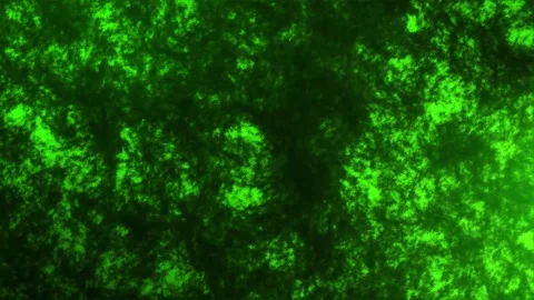 Abstract green moss background animation, animated forest leaves zoomed Stock Footage 301780607