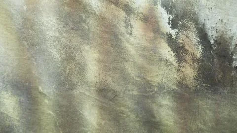 Abstract Green Moss Texture On Old Weathered Concrete Wall Surface Stock Photos
