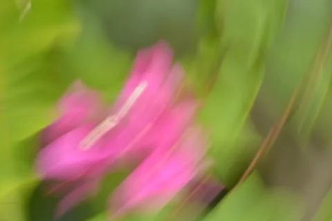 Abstract Green Motion Botanical Background Stock Photos