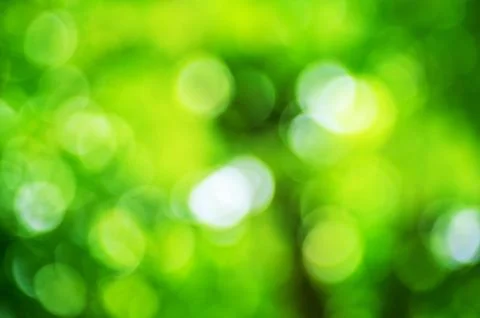 Abstract green natural background featuring soft blurred circular bokeh light 写真素材