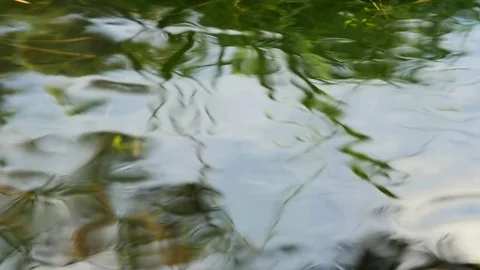 Abstract green nature background | Stock Video | Pond5