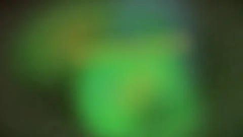 Abstract green nature bokeh background video with soft focus light effects .. Stock Footage 345547150