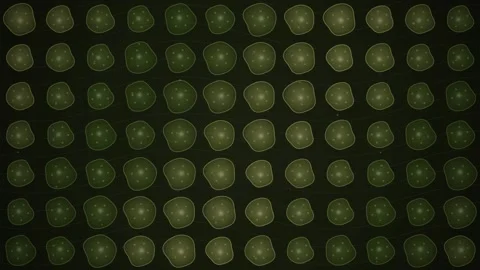 Abstract green network grid technology background visualization of digital .. Stock Footage 344517527