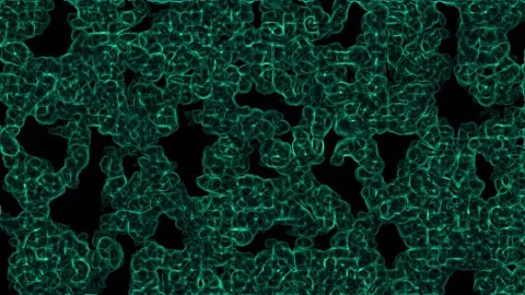 Abstract green organic texture with black horizontal band for text overlay .. Stock Footage 342517054