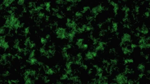 Abstract Green Organic Texture with Dark Central Bar during Seamless Motion Video stock 342519827