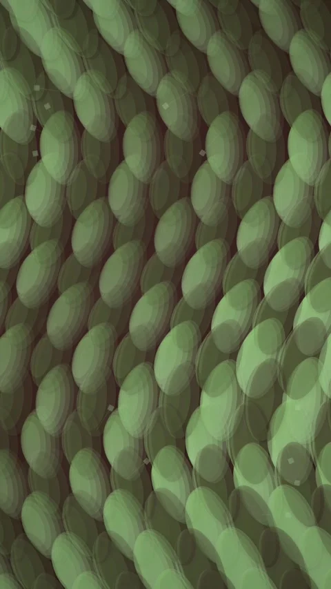 Abstract Green Ovals Pattern Background - Organic Flowing Shapes Motion Gra.. Stock Footage 347697799