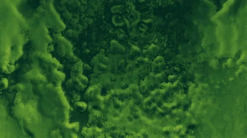 Abstract green paints Stock-Footage 135456655