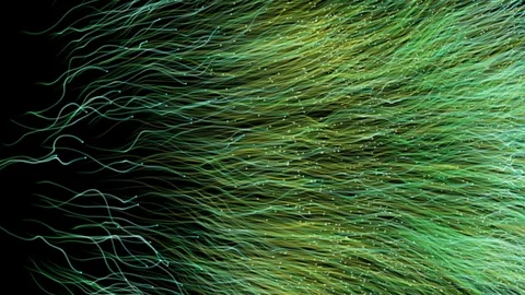 Abstract green particle background video Vidéo 74914934