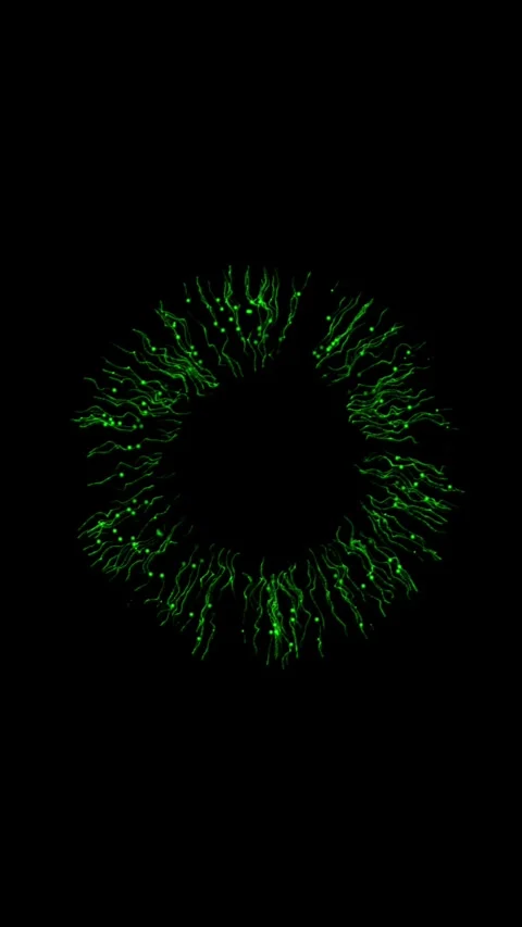 Abstract green particle circle burst on black, vertical format Stock Footage 340134037