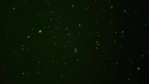 Abstract Green Particle Motion Background with Floating Glowing Dust Elements Stock Footage 340519161