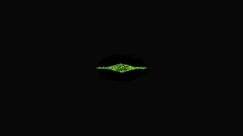 Abstract green particles creating dynamic motion graphic with transforming .. Stock-Footage 341770744