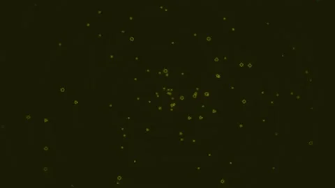 Abstract green particles floating in dark space, cosmic dust background loop Stock Footage 342158234