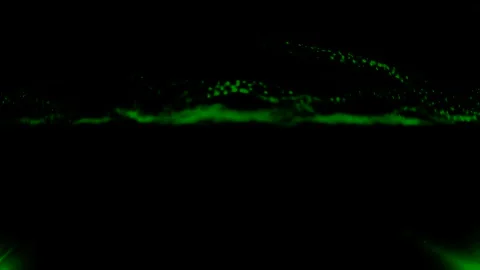 Abstract Green Particles Stock Footage 289129101