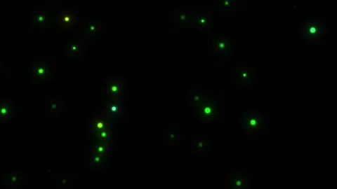 Abstract green particles gently floating against a dark background with sub.. Stock Footage 340912034