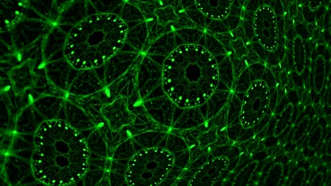 Abstract Green Pattern Stock Footage 289114613