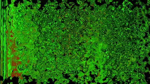 Abstract green pattern resembling animated forest leaves or moss Stock Footage 323536309