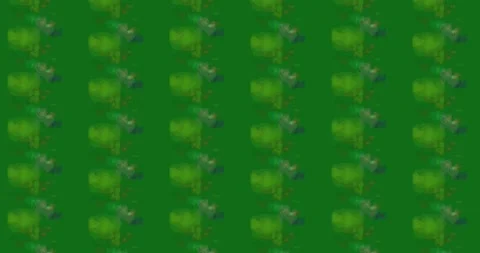 Abstract Green Pattern with Subtle Variations Stock Footage 309872244