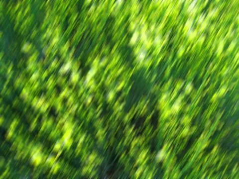 Abstract in green Foto stock