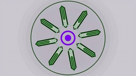 Abstract Green Radial Geometric Pattern Stock Footage 341932038