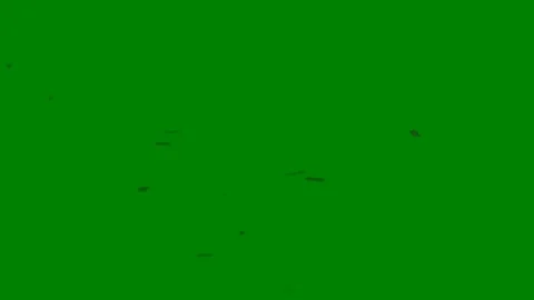 An abstract green screen transition with sweeping lines This fluid motion Stock Footage 301387298