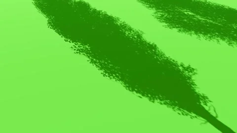 Abstract Green Shadows of Tree Foliage on Sunny Surface Stock Footage 330920279