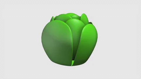 Abstract Green Shape Stock Footage 308020951