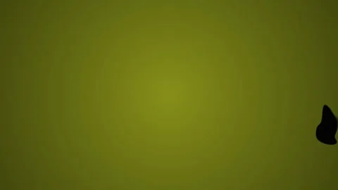 Abstract Green Shapes on Black Background Motion Graphics. Stock Footage 334490209