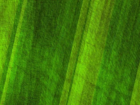 Abstract green soft texture background with smooth shapes pattern. Stock Illustration