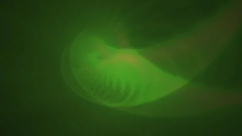 Abstract green spiral swirl loop motion animation background with glowing l.. Stock Footage 346344997