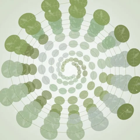 Abstract Green Spiral Swirl Pattern with Organic Shapes and Radial Lines Stock Footage 346281351