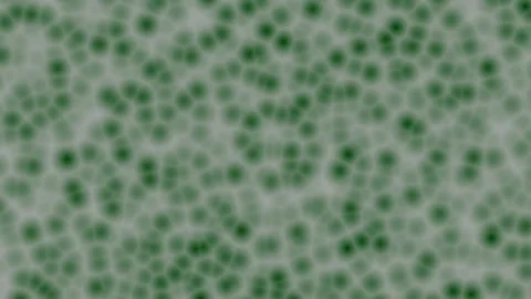 Abstract green spotted noise animation. Mold, bacteria or virus loop. Stock Footage 340275802