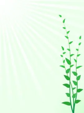 Abstract green sprouts vector background with copy space Stock Illustration