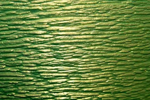 Abstract green stone texture background defocused Stock Photos
