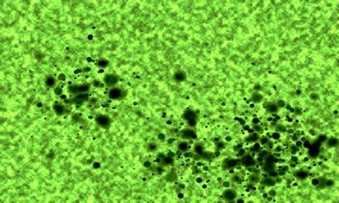 Abstract green surface with dark splatter clusters forming organic fluid pa.. 스톡 일러스트