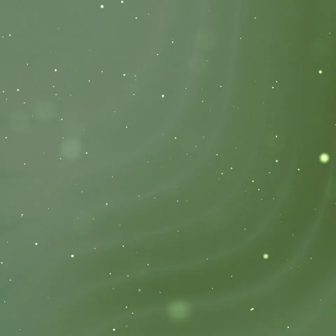 Abstract Green Swirling Background with Floating Particles and Bokeh Lights Stock Footage 338049715