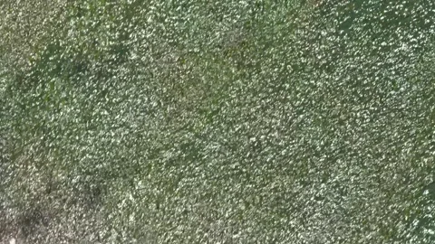 Abstract green texture of shimmering water, natural background in motion Stock Footage 334656151