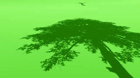 Abstract Green Tree Silhouette Shadow on Vibrant Background Video stock 330920281