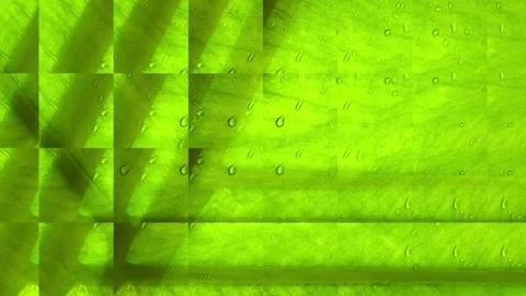 Abstract green video background Stock Footage 162849338