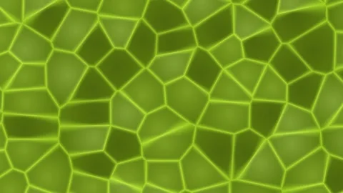 Abstract Green Voronoi Cellular Pattern Background 動画素材 332787627