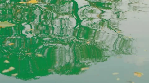 Abstract green water surface with tree reflections Stock Footage 330042084