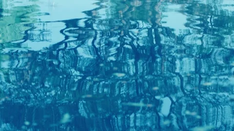 Abstract green water surface with tree reflections Видео 330447488